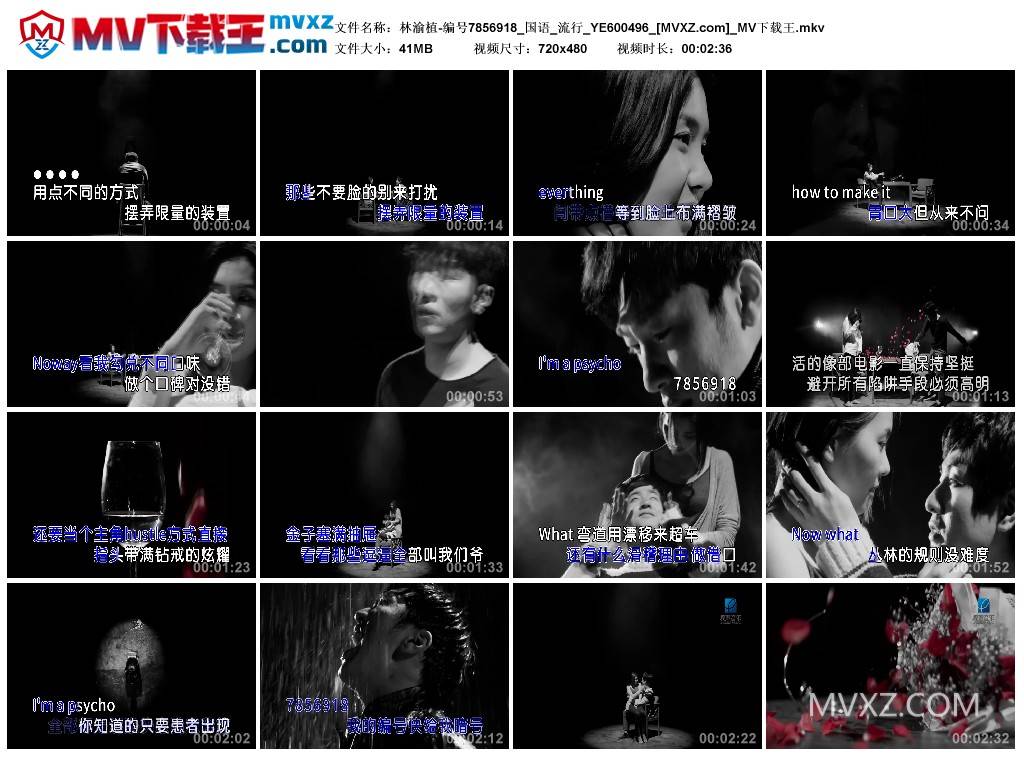 林渝植-编号7856918_国语_流行_YE600496